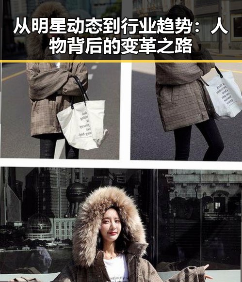从明星动态到行业趋势：人物背后的变革之路