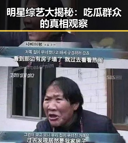明星综艺大揭秘：吃瓜群众的真相观察