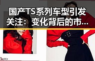 国产TS系列车型引发关注：变化背后的市场动向