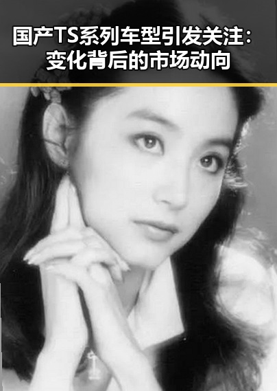 国产TS系列车型引发关注：变化背后的市场动向