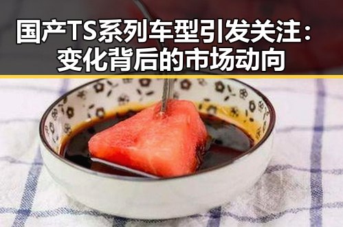 国产TS系列车型引发关注：变化背后的市场动向