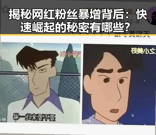 揭秘网红粉丝暴增背后：快速崛起的秘密有哪些？